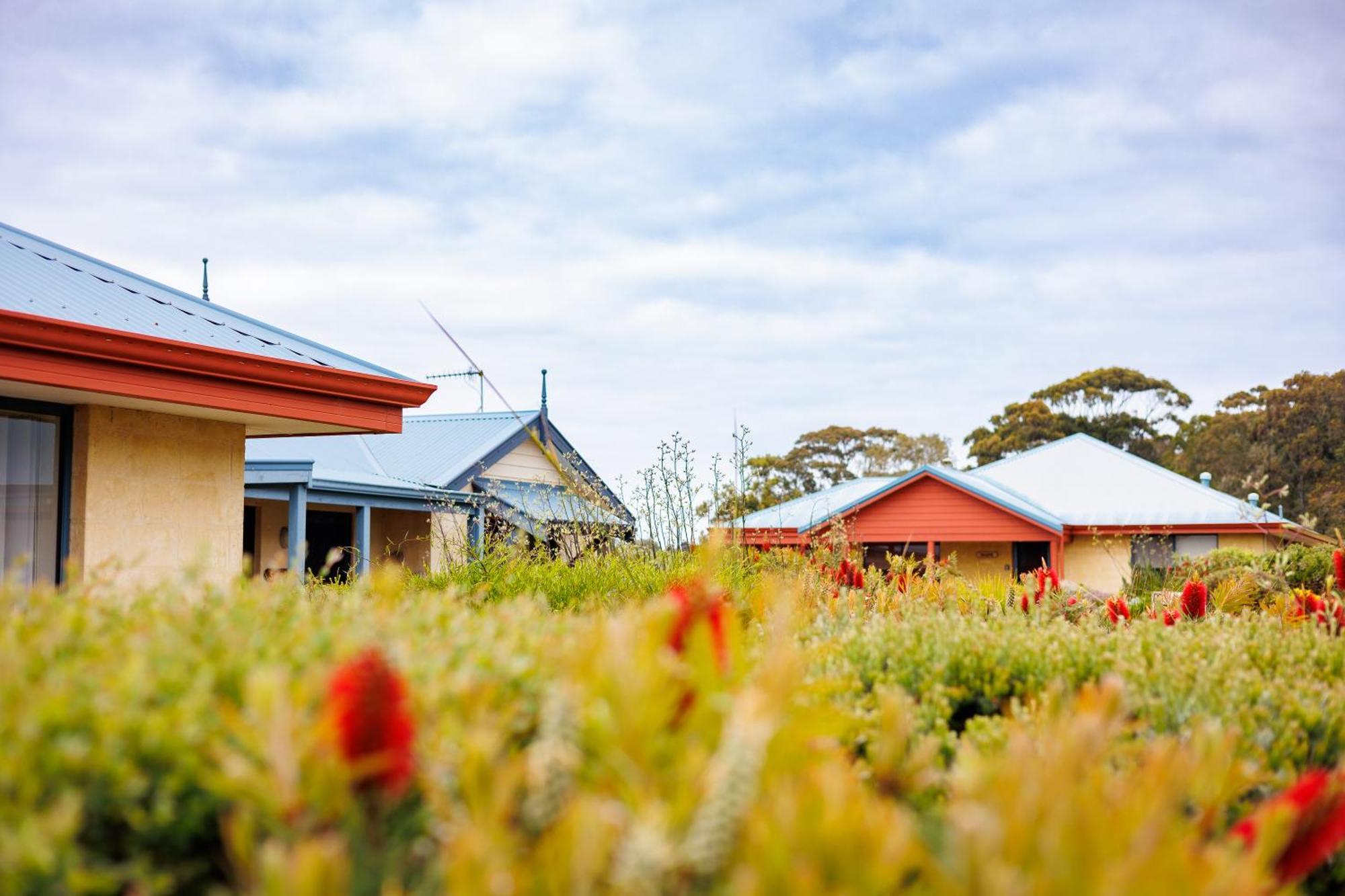 Cosy Corner By The Bnb Collection แอลบานี ภายนอก รูปภาพ