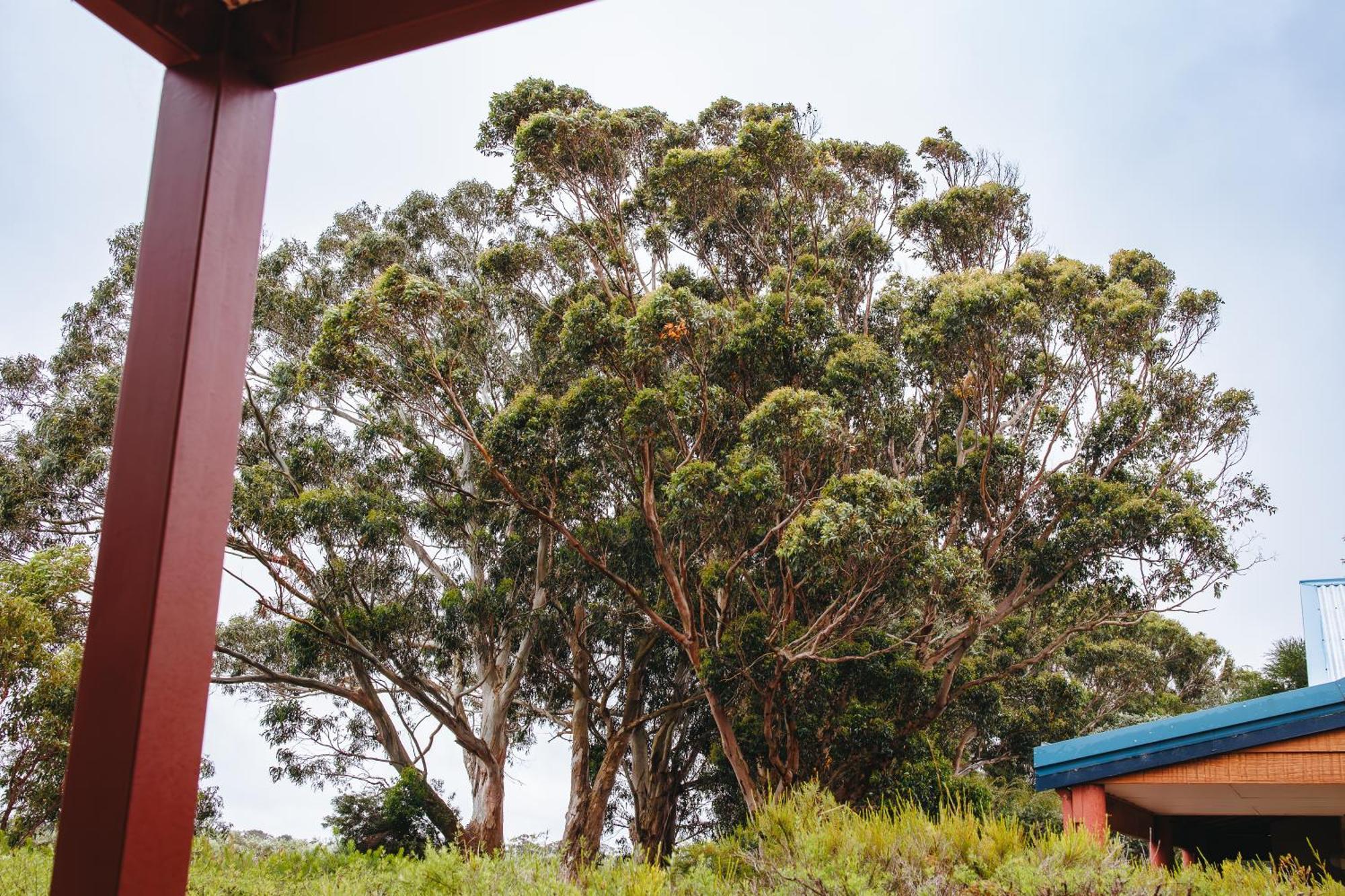 Cosy Corner By The Bnb Collection แอลบานี ภายนอก รูปภาพ